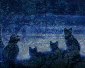 Related Pictures Warrior Cats Scourge Wallpaper