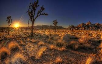 Arizona Background On