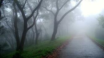 Foggy Wallpaper
