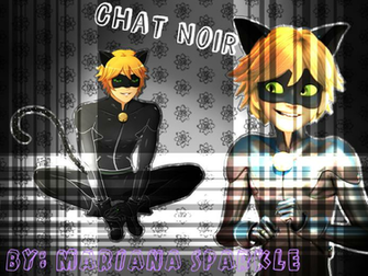 Miraculous Ladybug Chat Noir Wallpaper By Marianasparkle01 On