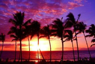 Beach Maui Hawaii Sunset Ocean Tropical Paradise Nature