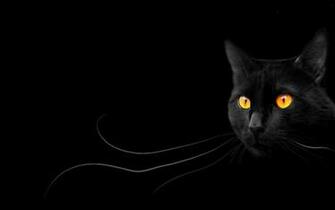 Black Magic Wallpaper