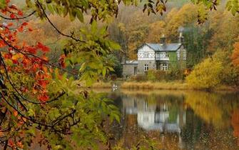 Cottage In The Woods Wallpaper
