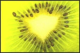 Kiwi Wallpaper