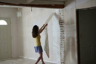 Removing Wallpaper Made Easy