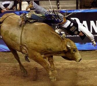 Go Back Gallery For Pbr Logo Wallpaper