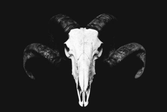 Rams Skull On