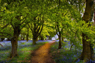Spring Season HD Wallpaper Desktop 4k Image