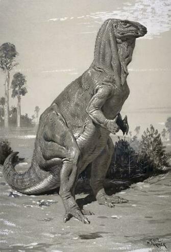 Iguanodon Wall Mural Wallsauce Us