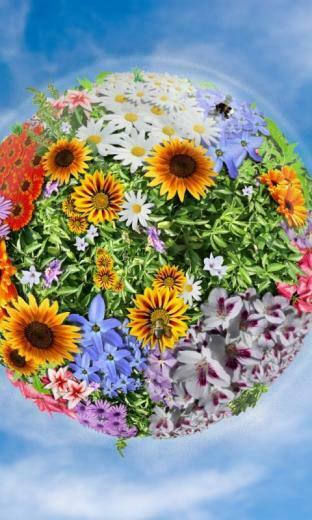 Earth Flowers Abstract Lumia Wallpaper