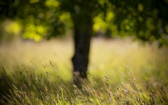 Blurred Wallpaper HD Net