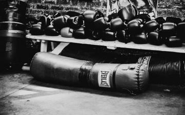 Boxing Gloves Wallpaper Net