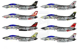 Tomcat By Ronin201