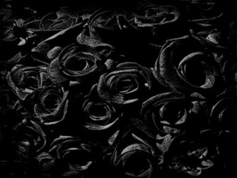 Rose Wallpaper HD For Walls Mobile Phone Widescreen