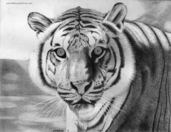 Rare Collection Of Wallpaper Sketches Cute Babies Animals