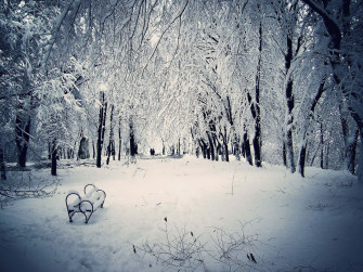 Snow Desktop Wallpaper