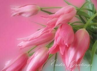 Easter Greetings Desktop Pc And Mac Wallpaper