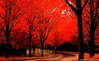 Beautiful Autumn Wallpaper Room