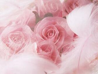 Desktop Background Computers Windows Wedding Roses