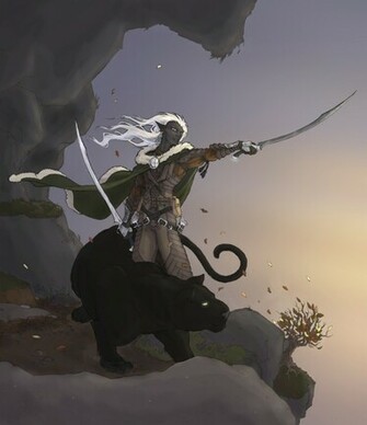 Drizzt Image Search Results