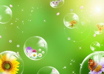 Flowers In Bubbles Wallpaper Open Walls
