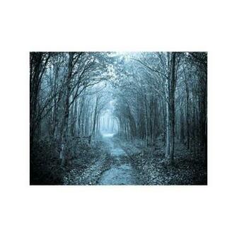 Long Way Forests Wallpaper Desktop Nexus Nature Found On