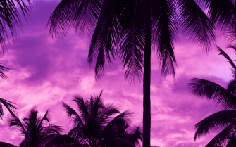 Purple Tree Wallpaper