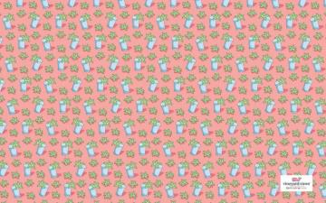 Canadianprep Vineyard Vines Wallpaper