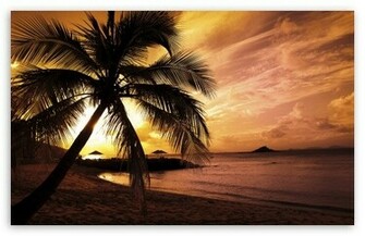 Tropical Beach Pictures Sunset