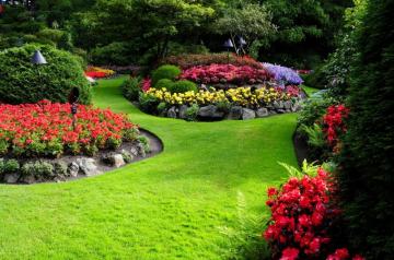 Nature Flowers Garden Landscape Wallpaper HD Desktop And
