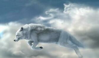 Native American Wolf Wallpaper