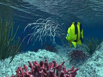 Animals Wildlife Wallpaper