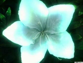Apple iPad Air Aspect Ratio HD Wallpaper Background