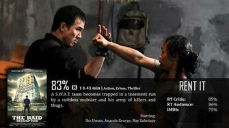 The Raid Martial Arts Action Crime Thriller