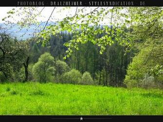 Foto Fr Hlingsblick In Hoher Aufl Sung Herunterladen Wallpaper