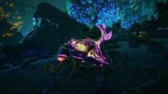 Joe Lally Aberrant Dung Beetle Jpg Official Media Ark