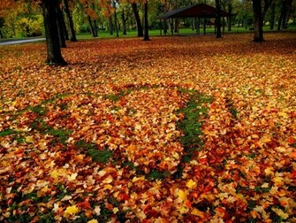 Fall In Love High Quality And Resolution Wallpaper On
