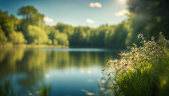 Beautiful Relaxing Nature Wallpaper