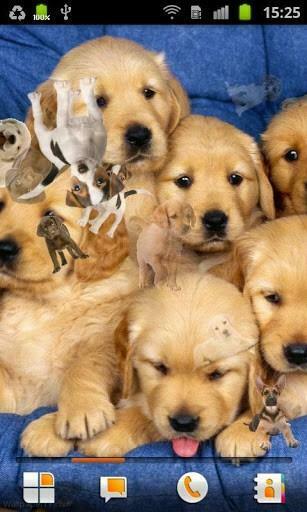 Auf Ihrem Desktop Holen Sie Puppy Live Wallpaper Und Verschoenern