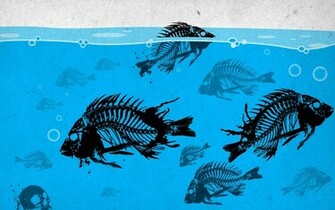Bass Fishing Cartoon Wallpaper Newest