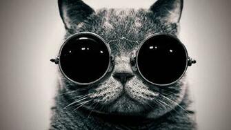 Cat With Goggles HD Wallpaper FullHDwpp Full