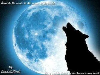 Awesome Wolf Moon Wallpaper Wallpaper55 Best For