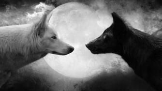 And HD Wallpaper Use This Best Gallery Of Wolf 1080p