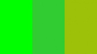 Lime Web Green And Limerick Solid Three Color Background