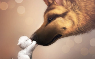 Cute Wolf Wallpaper