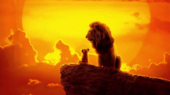 The Lion King 4k Wallpaper HD Movies