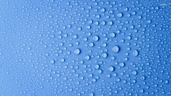 Beautiful Water Drops Wallpaper We Need Fun