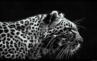 Desktop Photos Background Best HD Wallpaper Jpg