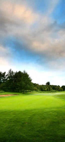 iPhone X Golf Course Background Wallpaper