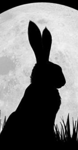 Watership Down With Gemma Arterton Kim Bodnia John